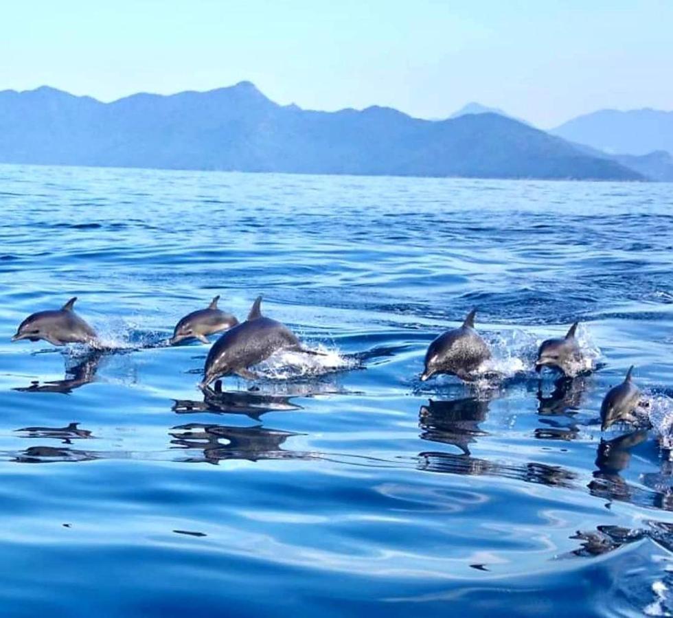 Pousada Costao Do Sol Angra dos Reis Luaran gambar