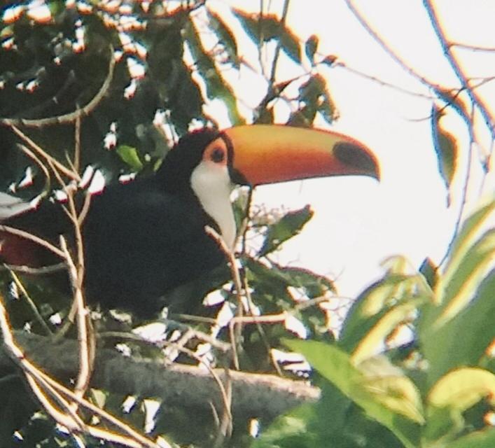 Pousada Costao Do Sol Angra dos Reis Luaran gambar